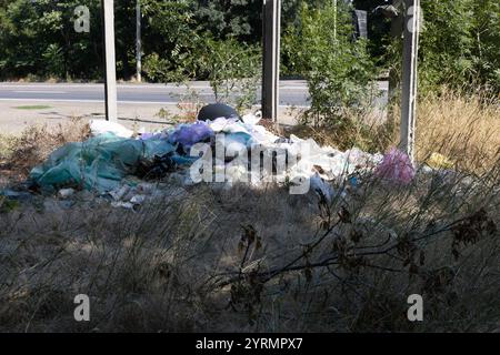 Rifiuti domestici pile discarica illegale inquinamento forestale problema ambientale rifiuti rifiuti rifiuti rifiuti contaminazione natura rifiuti rifiuti rifiuti rifiuti rifiuti ecologici Heap Urban Was Foto Stock