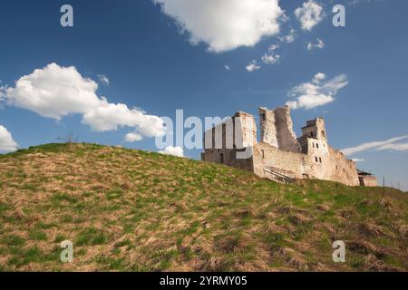 Estonia, Estonia nordorientale, Rakvere, Castello di Rakvere, b XIV secolo, esterno Foto Stock