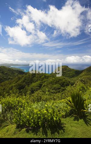 Parco nazionale Morne Seychellois, vista della costa occidentale vicino al monte Kopolia, all'isola di Mahe, alle Seychelles Foto Stock