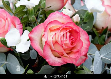 Bella rosa e qualche altro fiore bianco in una disposizione Foto Stock