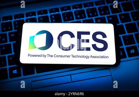 CES - Consumer Electronics Show a Las Vegas Foto Stock