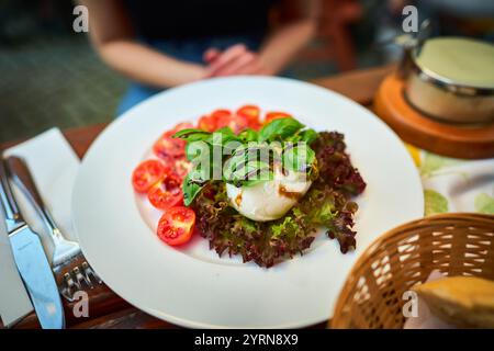 Un delizioso piatto con mozzarella fresca, pomodori ciliegini e basilico su un letto di verde verde, in un'atmosfera accogliente. Foto Stock