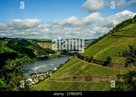 Vista sui vigneti di Kaub e sulla valle del Reno, sullo sfondo Schönburg e Liebfrauenkirche a Oberwesel, nella valle medio-alta del Reno, R. Foto Stock