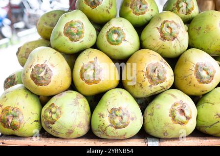 Pune, India, Coconutm Fresh, acqua di cocco Foto Stock