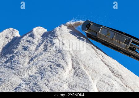 Raccolta del sale presso la Salin de l’ile St-Martin. Gruissan Saltworks. Occitanie, Francia Foto Stock