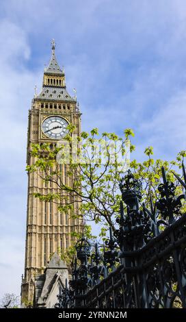 Big Ben dietro la recinzione forgiante del parco in primavera assolata. Londra, Regno Unito. Foto Stock