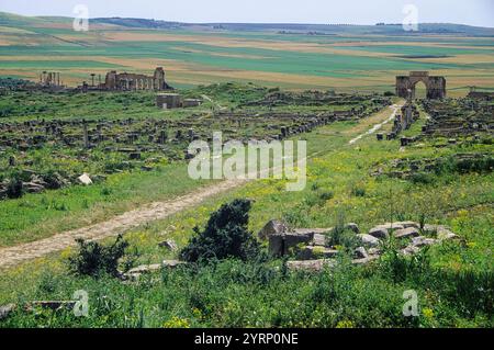 Volubilis, Marocco. Decumanus Maximus che conduce all'Arco di Trionfo di Caracalla. Foto scattata ad aprile 2003. Foto Stock