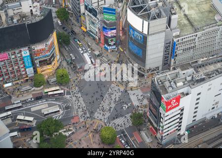 Scramble Crossing Shibuya, Tokyo, Giappone Foto Stock