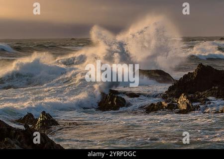 Australia, Tasmania, West Coast, Tarkine, Sara Anne Rocks Foto Stock