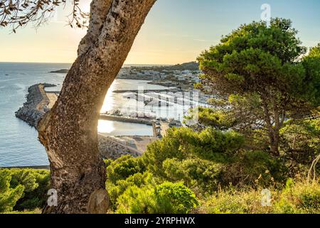 Vista della Marina Porto Turistico di Santa Maria di Leuca, Puglia, Italia, Europa Foto Stock
