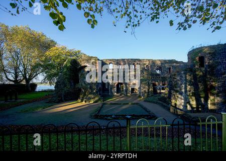 Rovine del Palazzo Imperiale Kaiserswerth sul Reno in autunno, viste dal Burgallee, Düsseldorf, NRW, Germania Foto Stock