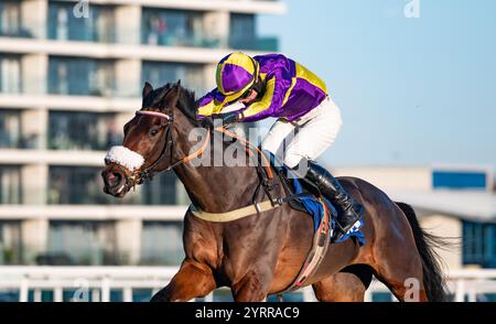 Le Patron e il fantino Freddie Mitchell vincono il concorso "Daily Rewards Shaker" Handicap Chase per gli allenatori Gary e Josh Moore e la proprietaria Mrs e Avery. Foto Stock