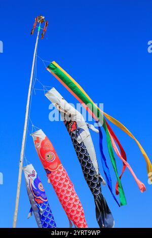 Sfogliatori di carpe, koinobori Foto Stock