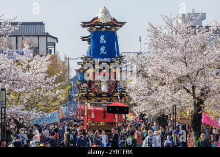 Inuyama Festival via Honmachi e Yama con fiori di ciliegio in fiore Foto Stock