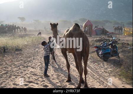 Fiera di Pushkar, Rajasthan, India Foto Stock
