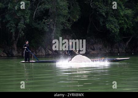 Un pescatore Tay che lancia una rete sul lago Ba Be nel Parco Nazionale di Ba Be nella provincia di Bac Kan, Vietnam Foto Stock