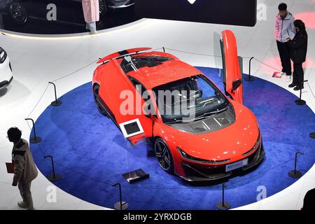 Changsha, Cina. 4 dicembre 2024. Il 20° China (Changsha) International Auto Expo ha preso il via a Changsha, nella provincia di Hunan, nella Cina centrale, il 4 dicembre 2024. il 60% delle oltre 1.000 auto esposte erano nuovi modelli energetici, attirando l'attenzione del pubblico. Credito: Yang Huafeng/China News Service/Alamy Live News Foto Stock