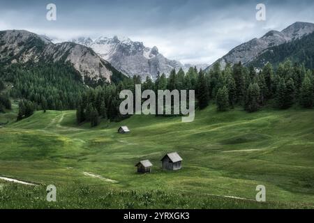 Prato alpino e capanne a Prato Piazza o Plätzwiese, paesaggio montano nelle Dolomiti. Alpi italiane, alto Adige, Italia Foto Stock