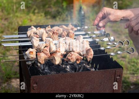 Una persona grigia spiedini di carne marinata su carboni luminosi, godendosi un barbecue in un ambiente panoramico all'aperto. Il Foto Stock