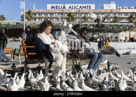 ALICANTE - Una donna dà da mangiare ai piccioni sul viale nel centro della città. Accanto a lei, un uomo fa un pisolino sul divano. ANP/HH HENRIETTE GUEST netherlands Out - belgio Out Foto Stock