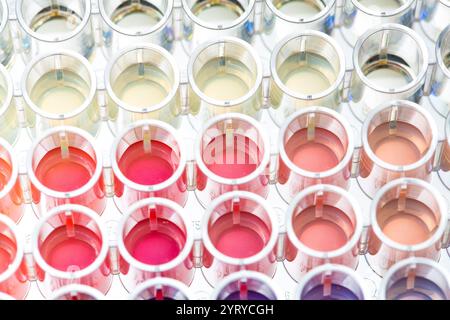 Primo piano di campioni chimici colorati che reagiscono in una piastra multipozzetto durante un esperimento di laboratorio Foto Stock