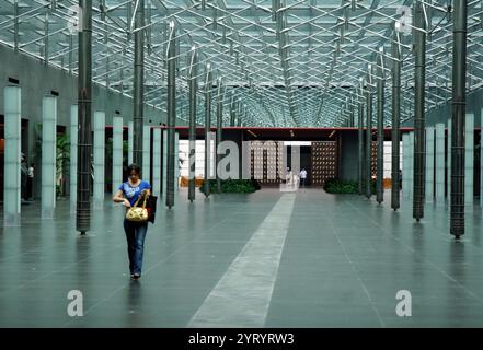 Il National Centre for the Performing Arts (National Grand Theatre) di Pechino, Repubblica Popolare Cinese. Progettato dall'architetto francese Paul Andreu, l'NCPA è il più grande complesso teatrale in Asia. 2008 Foto Stock