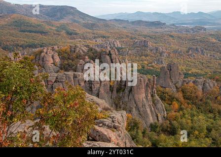 Le iconiche formazioni rocciose di Belogradchik, Bulgaria, circondate da splendide foreste autunnali e pittoreschi paesaggi montani dei Balcani. Foto Stock