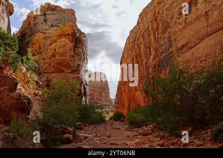 Fai un'escursione lungo il Capitol Gorge Trail nel Capitol Reef National Park Foto Stock