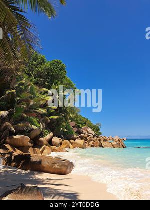 Spiaggia di Anse Georgette sull'isola di Praslin, Seychelles. Foto Stock
