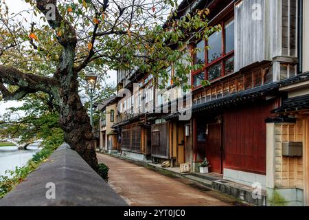 Incantevoli case lungo il fiume. Architettura tradizionale accoccolata tra una vegetazione lussureggiante e la natura a Kanazawa, Giappone Foto Stock