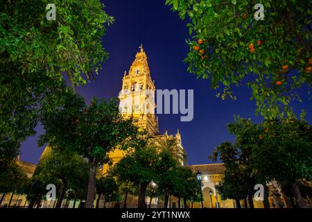 Doppio rosso e archi bianchi su antiche colonne romane presso la moschea preghiera Hall in Cordoba la Madonna della Cattedrale dell Assunzione Spagna Foto Stock