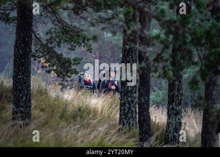 Pellegrini sul cammino di Santiago che camminano nella foresta della collina di Foncebadón, regione di Bierzo, Castiglia e León, Spagna Foto Stock