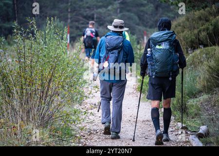 Pellegrini sul cammino di Santiago che camminano nella foresta della collina di Foncebadón, regione di Bierzo, Castiglia e León, Spagna Foto Stock