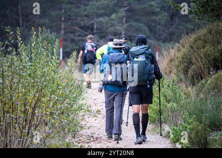 Pellegrini sul cammino di Santiago che camminano nella foresta della collina di Foncebadón, regione di Bierzo, Castiglia e León, Spagna Foto Stock