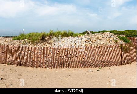 L'area costiera mostra un progetto di restauro delle dune di sabbia con recinzioni in legno e piante autoctone fiorenti. Foto Stock