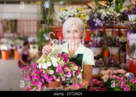 Donna venditore di fiori che tiene in mano la petunia nel negozio di fiori Foto Stock