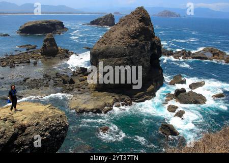 I turisti locali visitano Papuma Beach. Grandi coralli a forma di denti di squalo adornano la costa di Tanjung Papuma Foto Stock