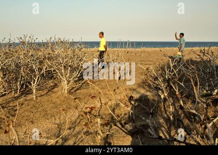 Gli uomini vengono fotografati sul paesaggio costiero, mentre si trovano su praterie asciutte sullo sfondo della spiaggia di Londa Lima a Kanatang, Sumba orientale, Nusa Tenggara orientale, Indonesia. Foto Stock