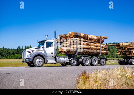 Trattore semi-autocarro bianco grande con Day Cab potente per impieghi industriali con assali aggiuntivi per il trasporto di tronchi di legno fissati su due semirimorchi in funzione Foto Stock
