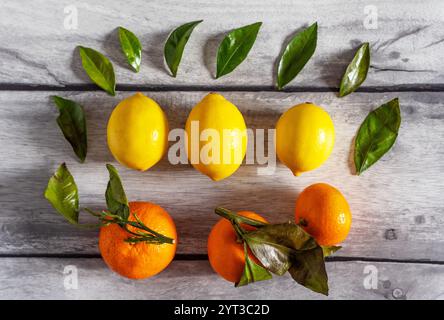 Mandarini, limoni e foglie verdi sono disposti in uno splendido motivo su un tavolo di legno grigio. Foto Stock