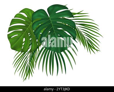 Foglie di palma tropicali realistiche. Ideale per volantini, inviti alle feste, idee ecologiche. Illustrazione vettoriale Illustrazione Vettoriale