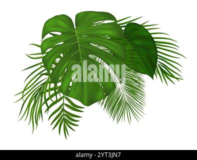 Foglie di palma tropicali estive. Elementi di design della giungla con vegetazione tropicale esotica per cartolina estiva, invito, banner, poster. Illustrazione vettoriale Illustrazione Vettoriale