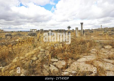 Antiche rovine romane con pilastri e archi in sagoma contro l'orizzonte e resti di mura in pietra in primo piano a Volubilis, Marocco Foto Stock