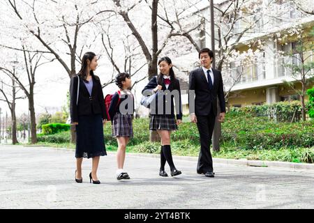 La famiglia passeggia sotto file di ciliegi Foto Stock