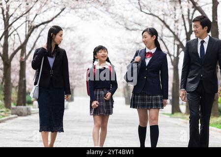 La famiglia passeggia sotto file di ciliegi Foto Stock