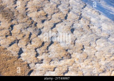 La sabbia ghiacciata increspata è ricoperta di neve su una spiaggia. Costa del Mar Baltico in una soleggiata giornata invernale. Foto di sfondo naturale astratta Foto Stock