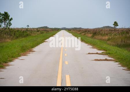 Una strada a due corsie vuota con doppie linee gialle centrali attraversa una prateria piatta, con un pino solitario, nel parco nazionale delle Everglades, in Florida. Foto Stock