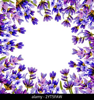 cornice in fiore di lavanda, dipinta a mano con acquerello, senza cuciture, in stile provenzale, inviti di nozze Foto Stock