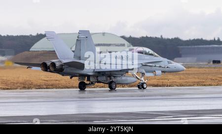 Un F/A-18D Hornet del corpo dei Marines degli Stati Uniti con Marine Fighter Attack Squadron (VMFA) 312, Marine Aircraft Group 12, 1st Marine Aircraft Wing si prepara Foto Stock