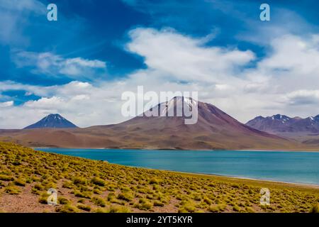 Laghi Lagunas Altiplanicas Miscanti y Minques nel deserto di Atacama in Cile. Altopiano di Altiplano e distese saline del paesaggio del Sud America. Laghi Salar Foto Stock